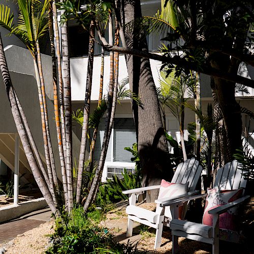 The image shows an outdoor scene with palm trees, two white Adirondack chairs with pink cushions, and a modern building in the background.