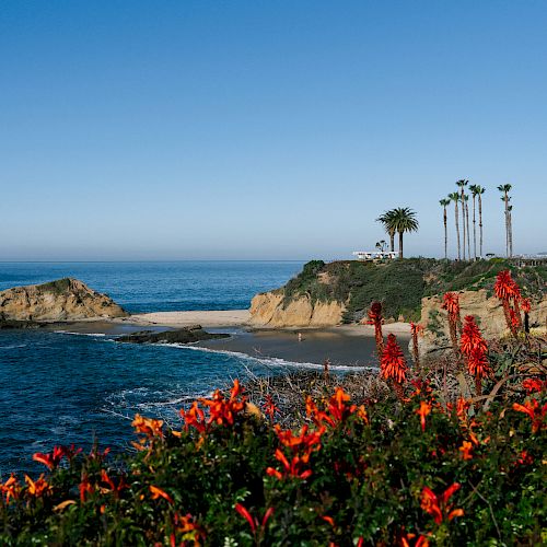 A picturesque coastal scene featuring blue ocean waters, rugged cliffs, and red flowering plants in the foreground under a clear blue sky.