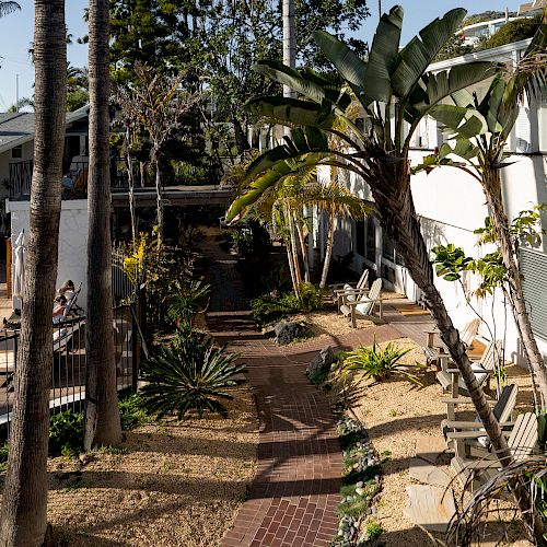 A garden path lined with bricks leads through tropical plants and palm trees, adjacent to white buildings and outdoor seating areas.