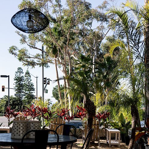 The image shows an outdoor seating area with tables and chairs, surrounded by trees and plants, under a hanging lamp. The setting is sunny and bright.