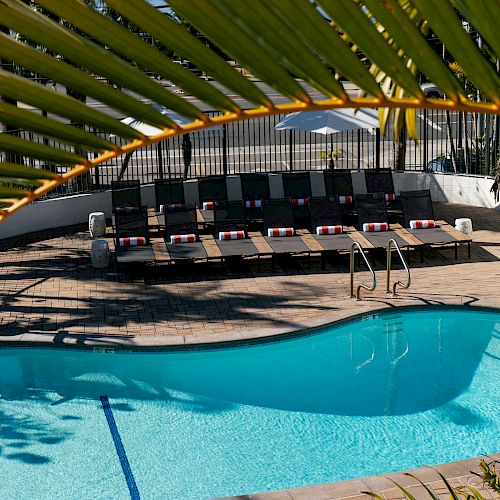 A sunny swimming pool area with loungers, umbrellas, and palm leaves in the foreground, surrounded by a paved deck and a fence.