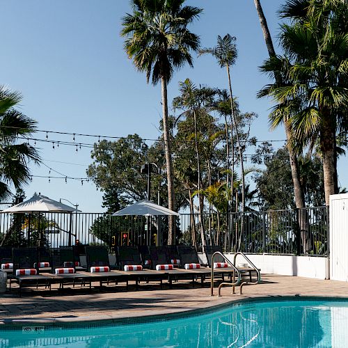 A poolside area with palm trees, lounge chairs, umbrellas, and string lights under a clear blue sky.