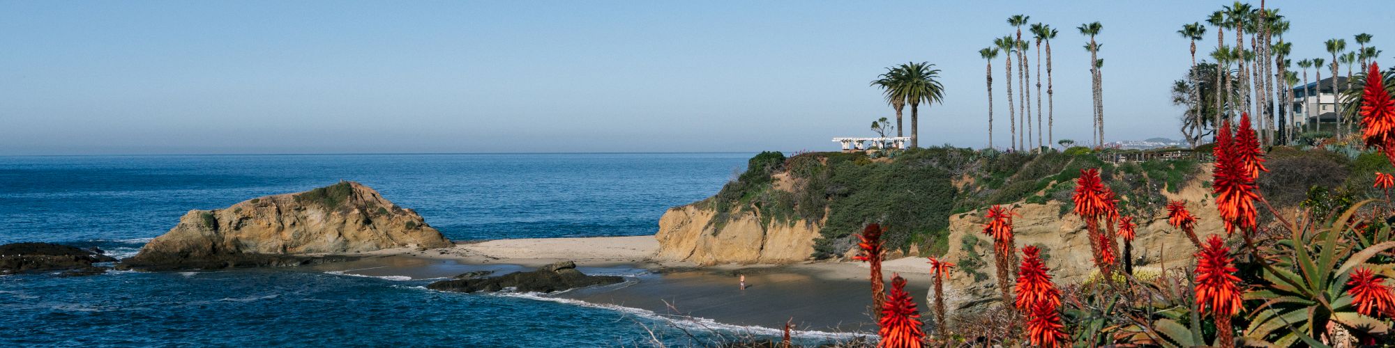 A scenic coastal landscape featuring vibrant orange flowers in the foreground, a sandy beach, rocky outcrops, and tall palm trees under a clear blue sky.