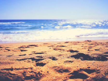 The image shows a sandy beach with footprints leading to the ocean, where gentle waves are lapping at the shore under a clear blue sky.